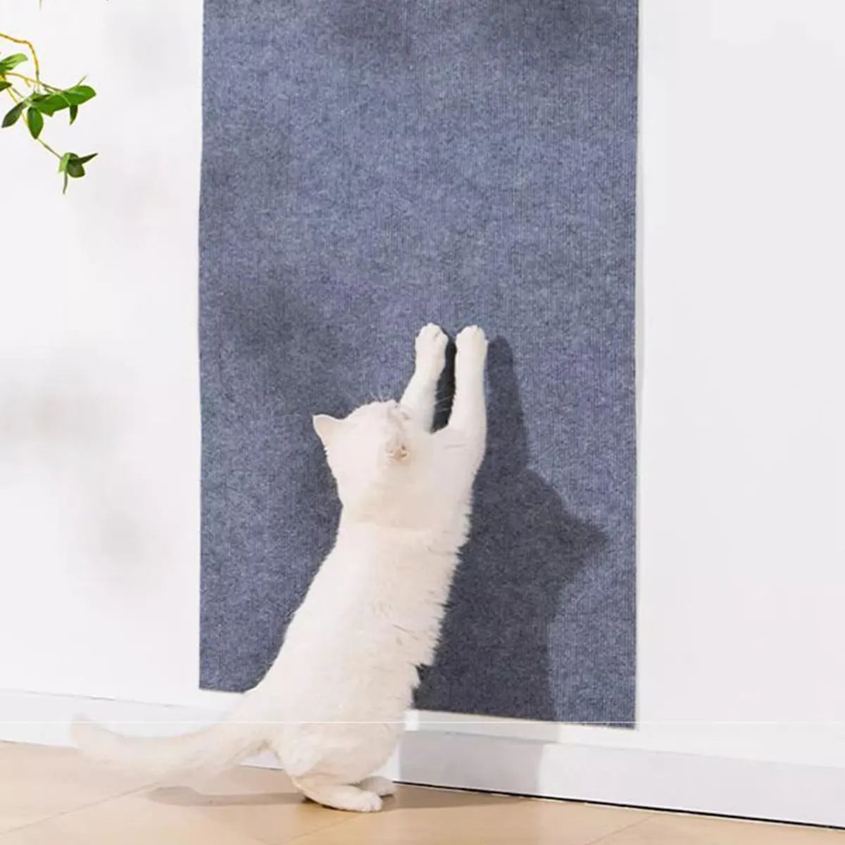 ScratchyWall